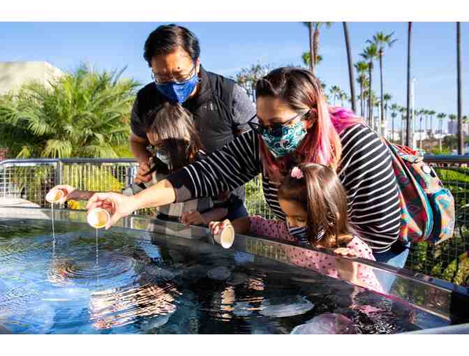 Aquarium of the Pacific - 2 Admission Tickets