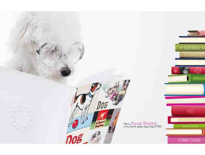 Oliver the Schnoodle and Sara and the Sandcastles books-Signed Copies