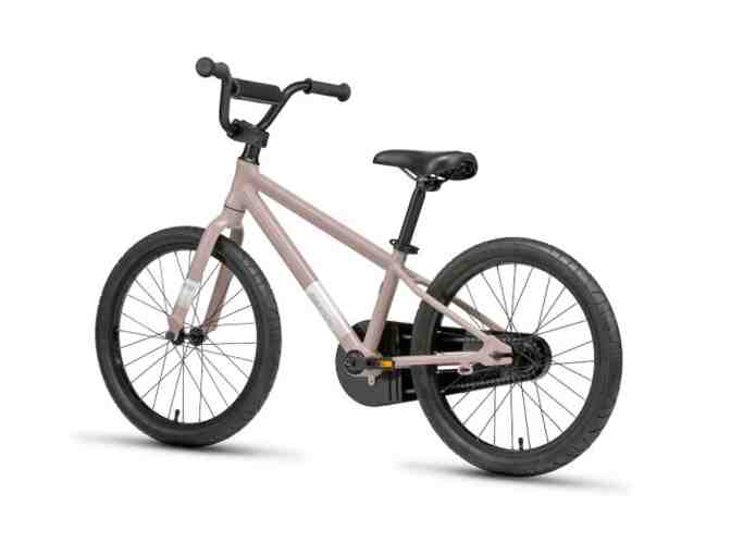 Batch Kids Bike, The Kid's 20' Bike, Gloss Vapor Gray