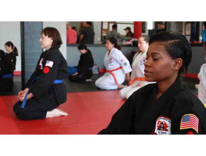 Karate- 2 Weeks Private and Group Karate Instruction + Uniform and Belt- adult or child