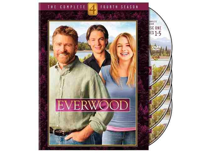 For TV Lovers - Vampires, Love, Gossip, and Espionage