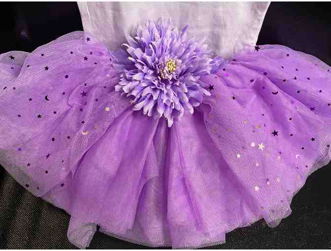 Creation Station Studio City - 1 Month of Kid's Dance Lessons plus apparel!