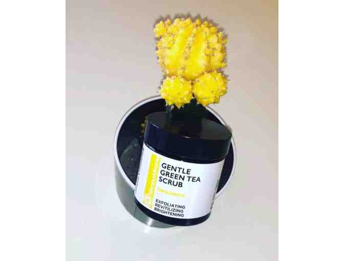 Silvana Organic Skin Care- Cleanser, Plumping Serum, Anti-Aging Lotion, Green Tea Scrub