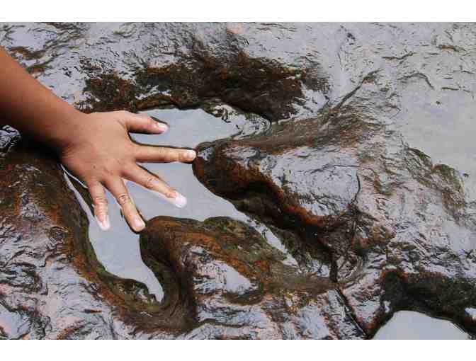 The Children's Museum at La Habra - 2 Passes