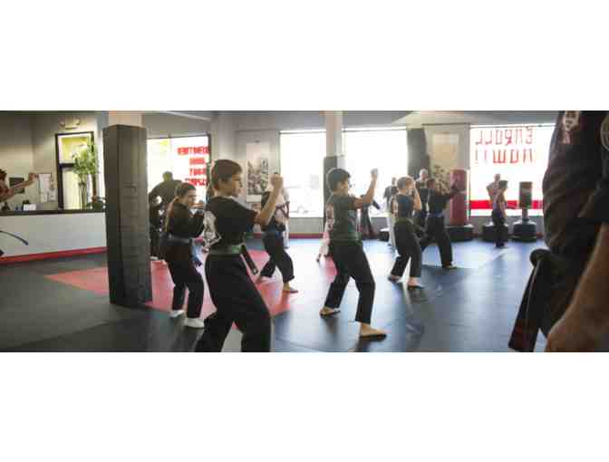 Shaolin American 2 Weeks Private and Group Karate Instruction plus Uniform