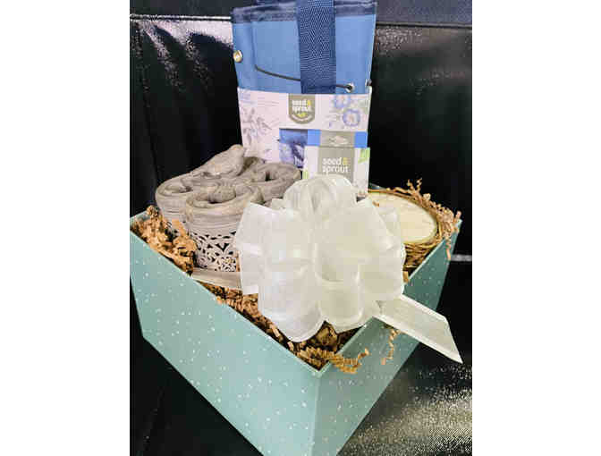 Seed & Sprout Garden Delight Basket