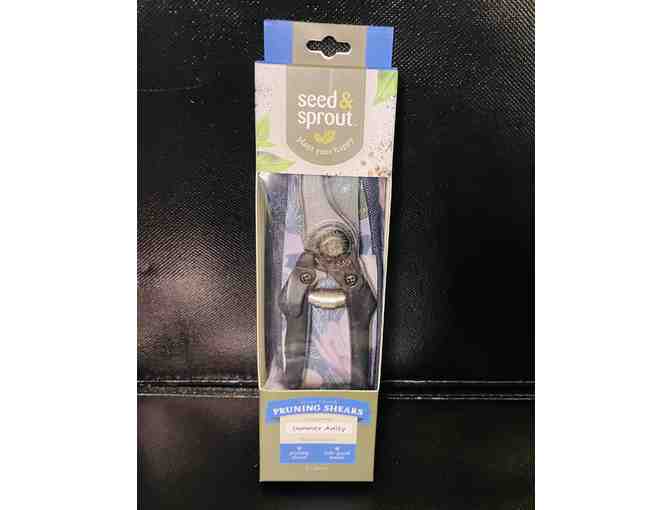 Seed & Sprout Garden Delight Basket