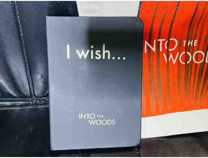 Into the Woods on Broadway - Signed Playbill by Broadway Cast and Swag