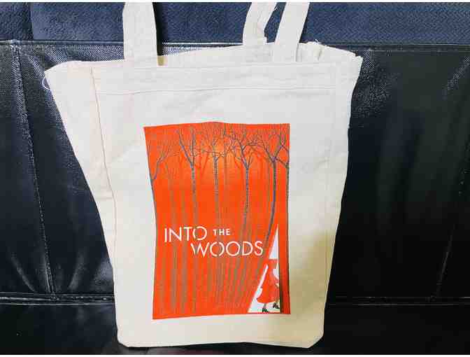 Into the Woods on Broadway - Signed Playbill by Broadway Cast and Swag