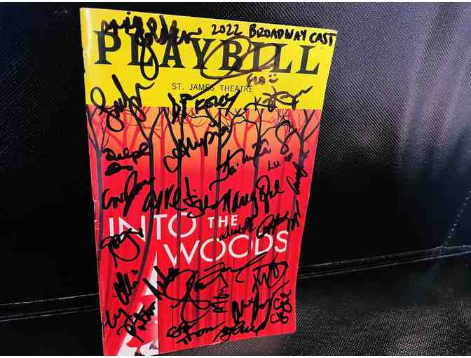 Into the Woods on Broadway - Signed Playbill by Broadway Cast and Swag