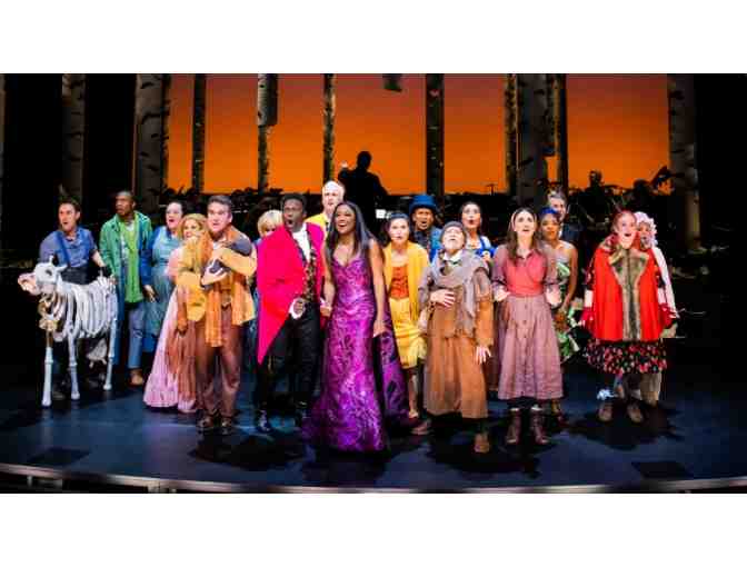 Into the Woods on Broadway - Signed Playbill by Broadway Cast and Swag