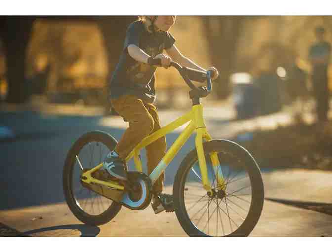 Kid's 20' Bicycle in Matte Pitch Blue