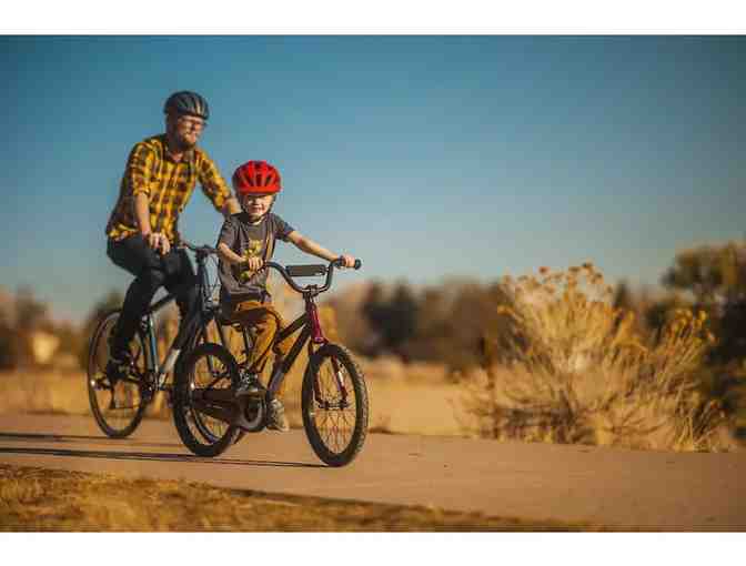 Kid's 20' Bicycle in Matte Pitch Blue