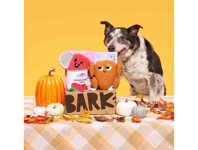 Bark Box 1 Month Subscription Plus Toys and Treats