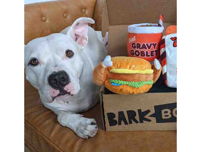 Bark Box 1 Month Subscription Plus Toys and Treats