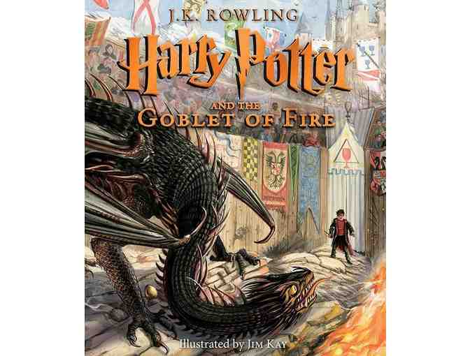 Harry Potter Illustrated Edition Set