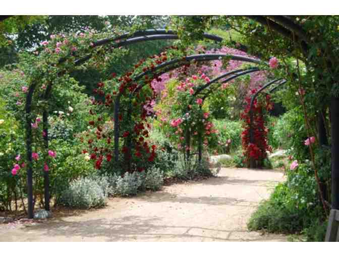 Descanso Gardens- 4 Daytime Admission Passes