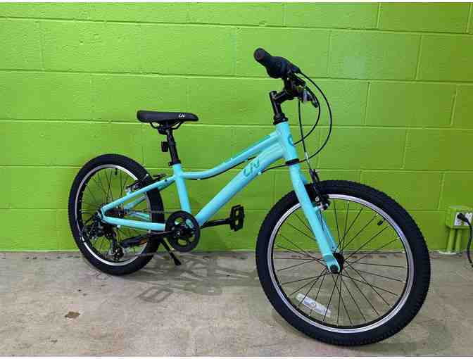 20' Mountain Bike donated by C Street Bikes