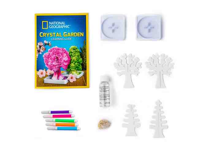 National Geographic Crystal Garden STEM Science Kit