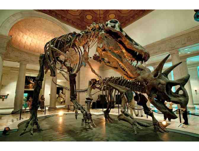 Natural History Museum of Los Angeles - (4) Tickets