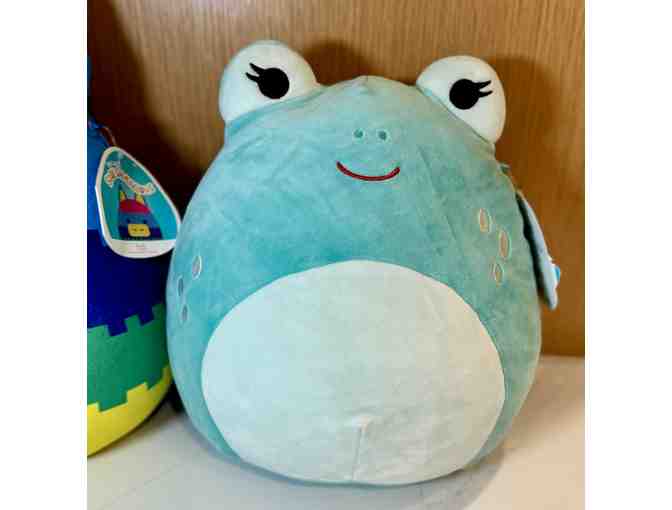 Squishmallows and Friend!