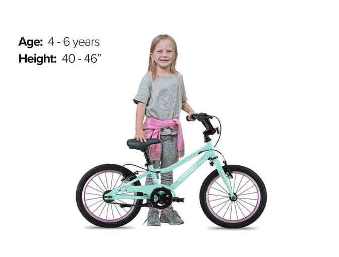 Guardian 16' Kids Bicycle - Mint Purple