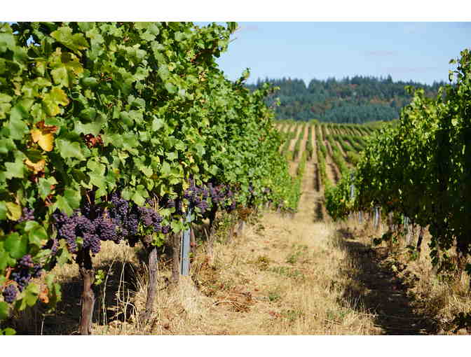 Assorted Case of Wine by Croft Vineyards