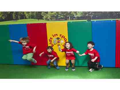 $250 Kids In Sports (multi-sports classes for young children)