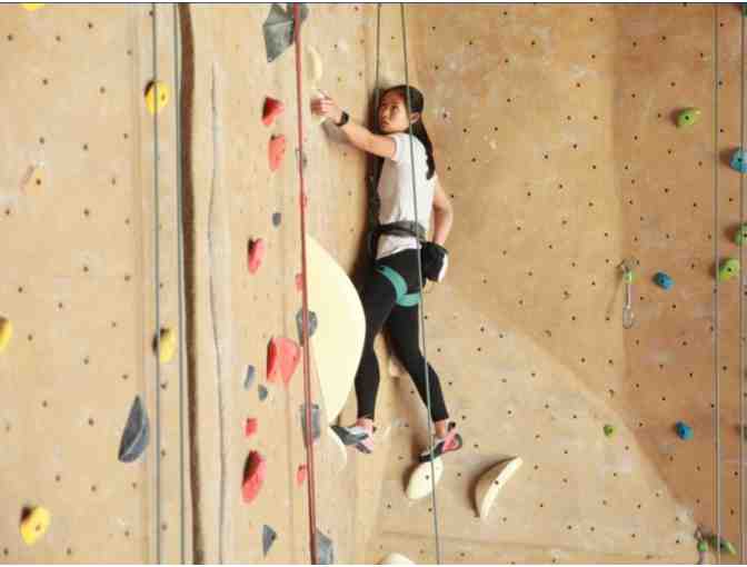 Climbing Lessons + Day Passes at Movement