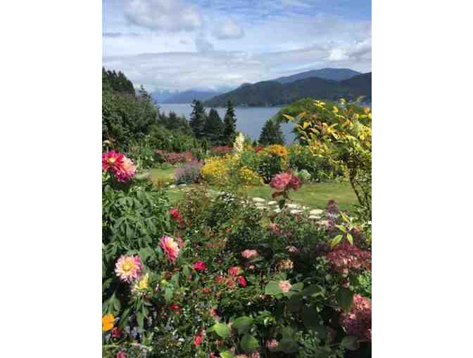 Garden Design Consultation