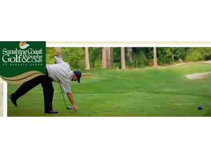 4 rounds of golf - including carts