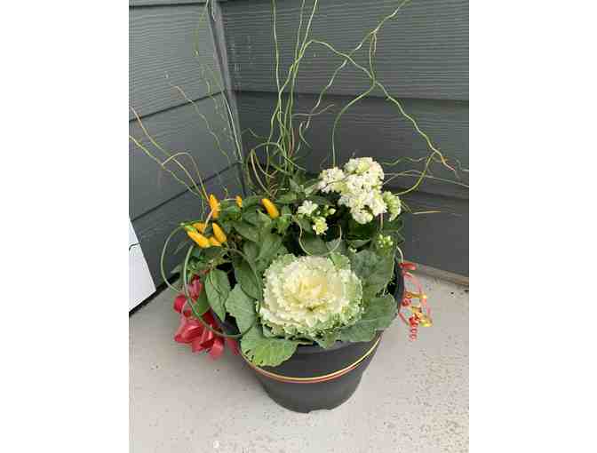 Fall foliage planter + $50 B&K Gift Card