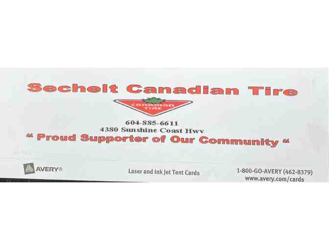 Canadian Tire -Dayson Big Ball Vacuum Cleaner