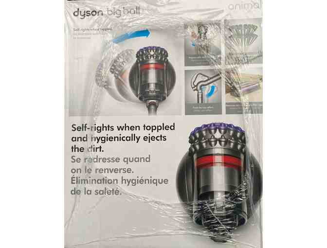 Canadian Tire -Dayson Big Ball Vacuum Cleaner