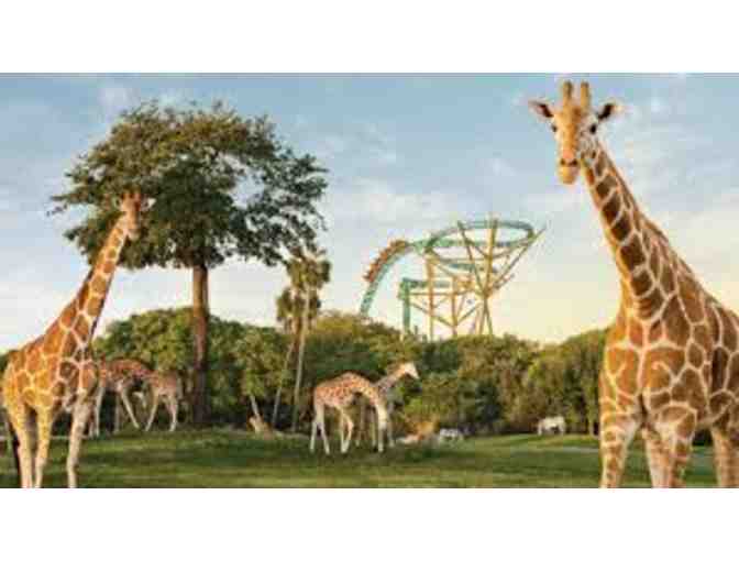 Four (4) Single Day Tickets to Busch Gardens, Tampa, Florida