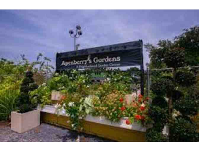 Apenberry's Gardens Gift Card $50