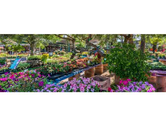 Harlow Gardens: $50 Gift Card #1