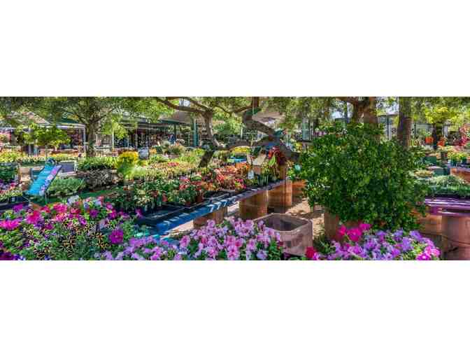 Harlow Gardens: $50 Gift Card #2