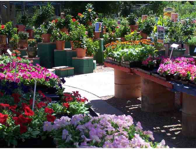 Harlow Gardens: $50 Gift Card #3