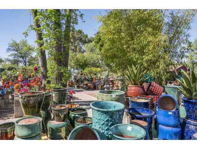 Harlow Gardens: $50 Gift Card #3