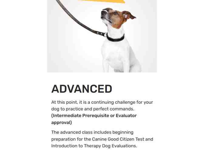 6-week Dog Training Class plus Gift Basket