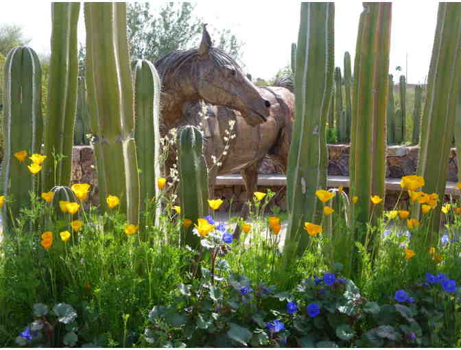 Tohono Chul Gardens Gallery Bistro: 4 guest passes