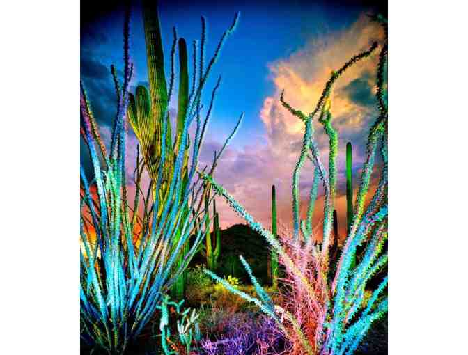 Tohono Chul Gardens Gallery Bistro: 4 guest passes