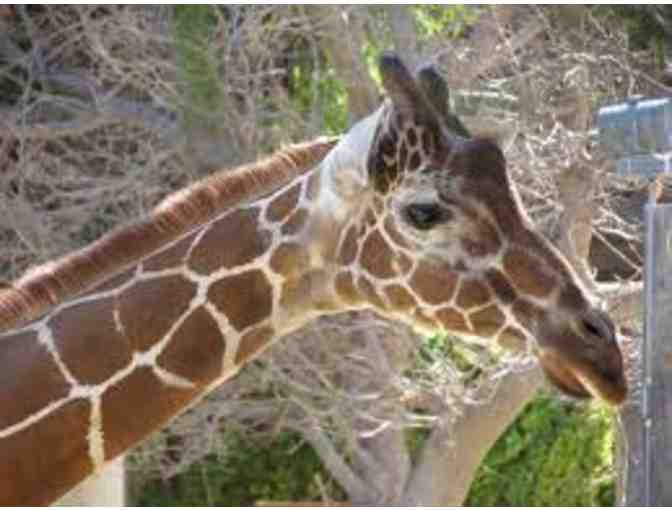 Reid Park Zoo Basket