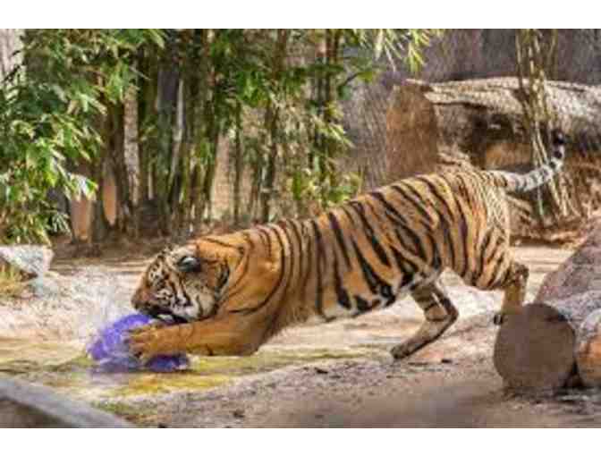 Reid Park Zoo Basket