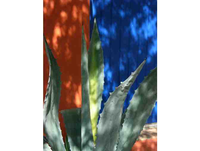 1 matted and framed Dot Kret print of your choice