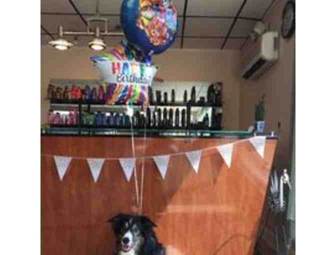 Gift Certificate for C Carlo Hair Express