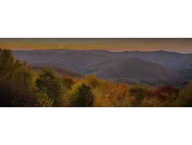 $ 50 Gift Certificate to Shaker Hill Pet Resort Retail Shop