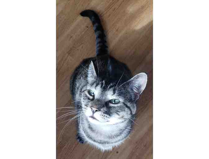 Samson Says he would like a sponsor