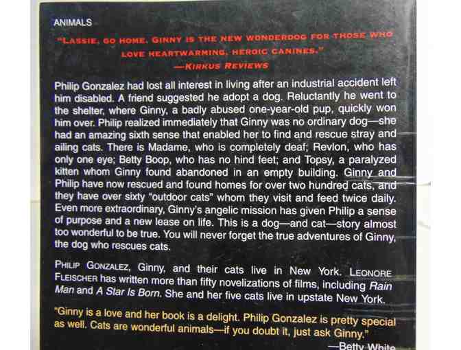 The True Story of The Dog Who Rescues Cats